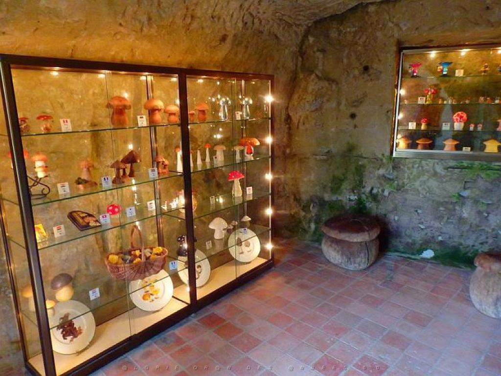 149 MUSEE DU CHAMPIGNON A  SAUMUR 2016 1_000019.jpg